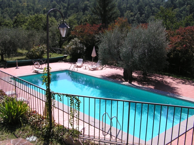 view on the pool