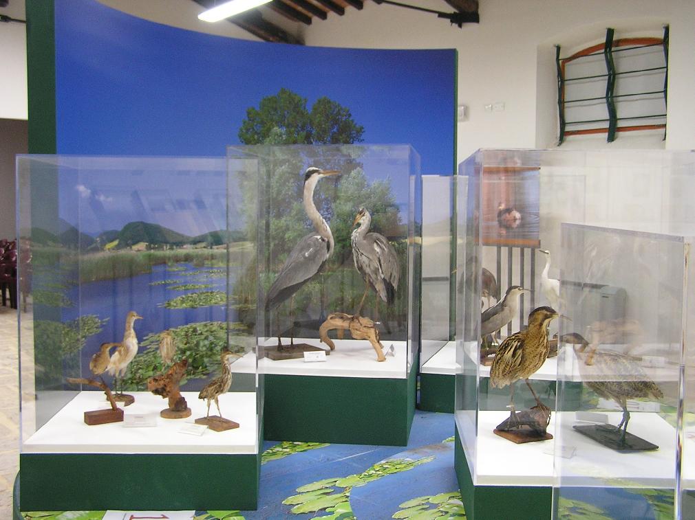 Naturalistic Museum of Colfiorito Regional Park -  Photo by Roberta Milleri