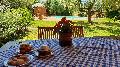 LAST MINUTE AUGUST ON TRASIMENO LAKE