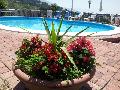 OFFERT SEPTEMBER NEAR  ASSISI